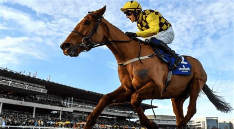 champion hurdle champion hurdle 2018 bet